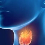 Explorando el Hipotiroidismo: Más Allá de la Glándula y las Hormonas