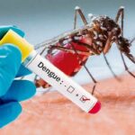 La Clave detrás de las Complicaciones del Dengue